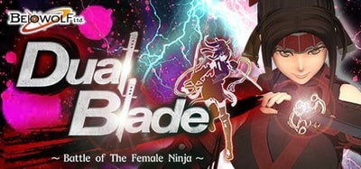 Dual Blade Battle of The Female Ninja PC Full Version